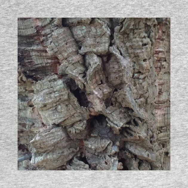 Cork Oak Tree Bark Texture 5 by oknoki